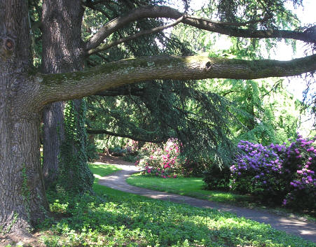 Parc des Eaux-Vives in Geneva Switzerland